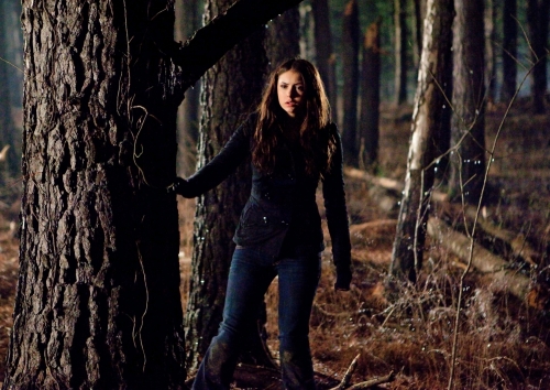 elena-gilbert-character